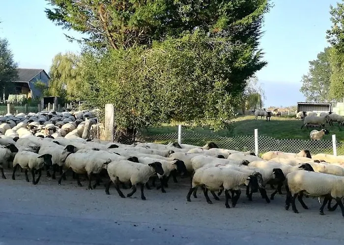 Les 2 Clos Au Pied Du Mont Ardevon